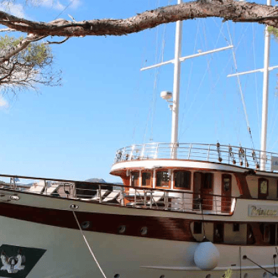 Ứng dụng nâng hạ - cần trục 2